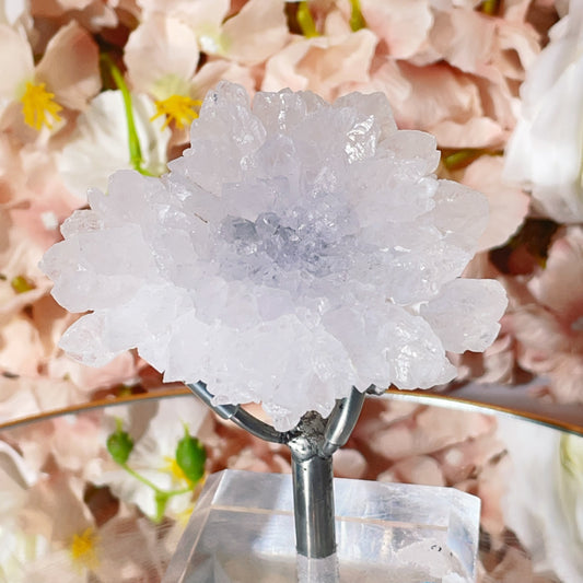 abnormal crystal