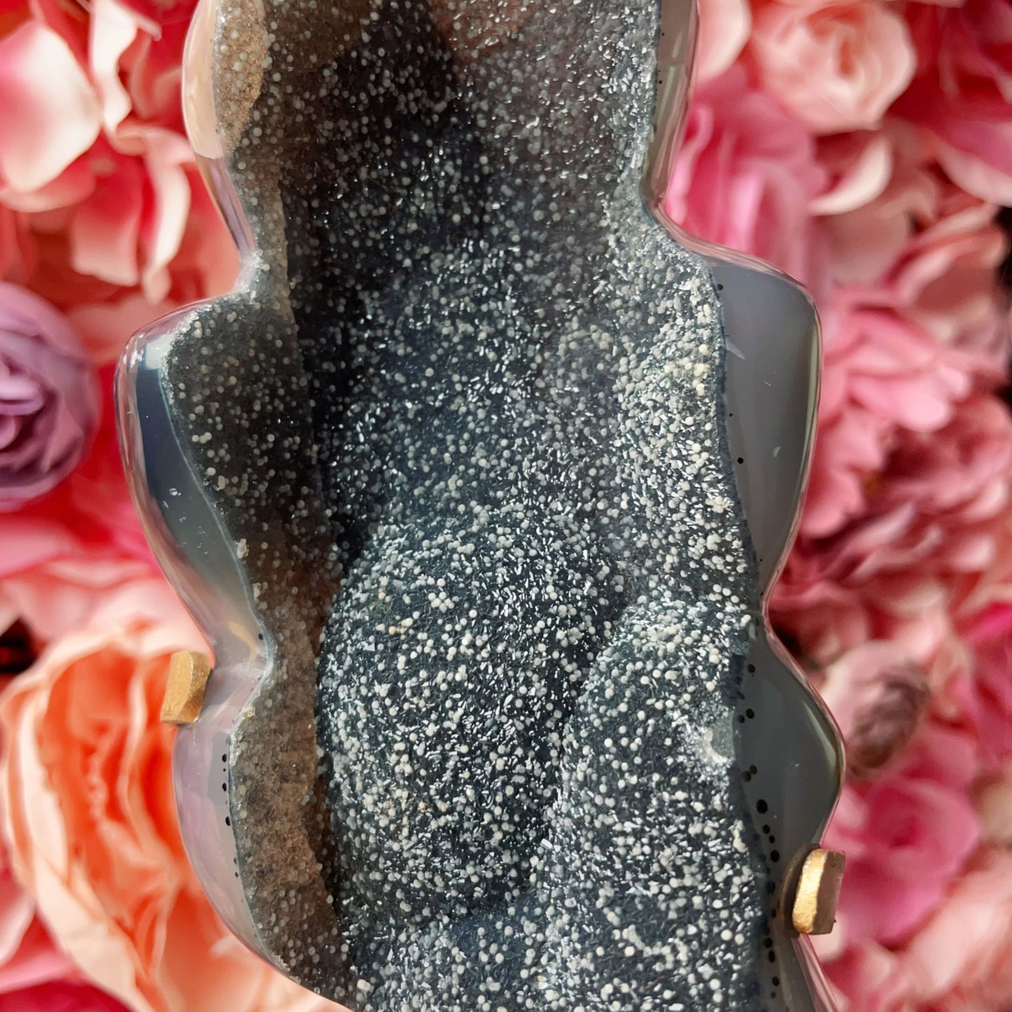 agate flying squirrel